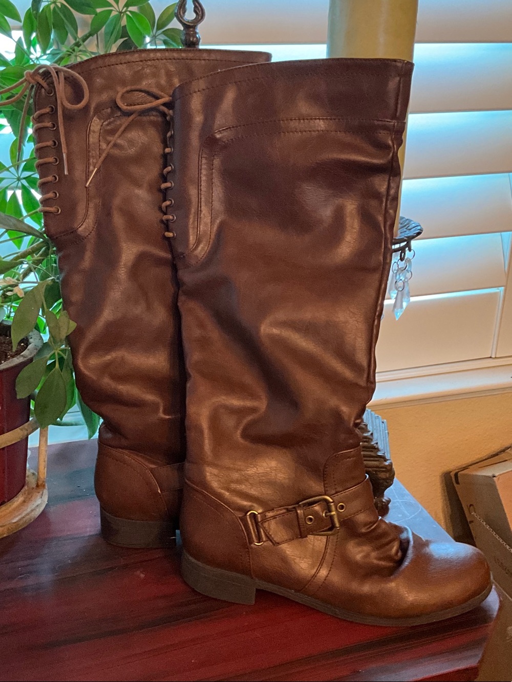 XOXO Dark Brown Over-the-Knee Lace & Buckle Boots